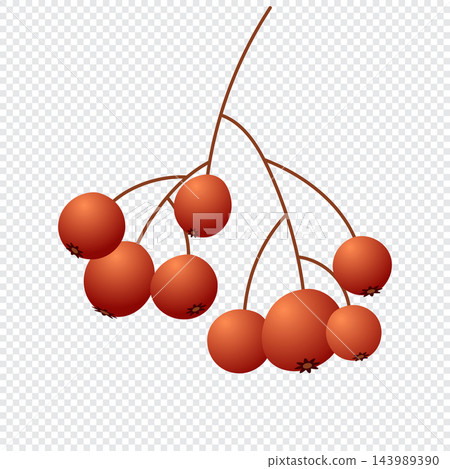 Autumn berries isolated on white background. Cute brown berries. Autumn and thanksgiving icon Autumn berries isolated on white background. Cute brown berries. Autumn and thanksgiving icon 143989390