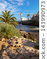 Santa Marta Lighthouse on the Rocky Coast of Cascais, Portugal 143990973