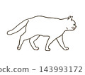 Illustration of a white cat walking 143993172