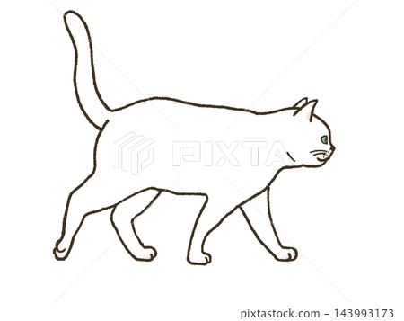 An illustration of a white cat walking with its tail held high. 143993173