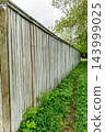 Weathered Wooden Fence Panels Along Path 143999025