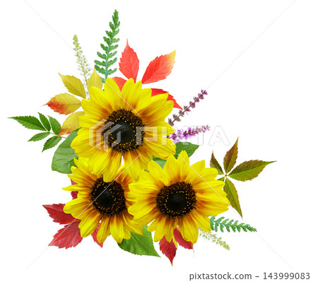 bouquet of blooming sunflowers isolated on white background bouquet of blooming sunflowers isolated on white background 143999083