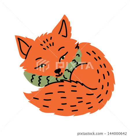 Cute orange fox curled up wearing cozy green scarf Cute orange fox curled up wearing cozy green scarf 144000642