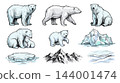 A collection of polar bear illustrations with icebergs and arctic landscape elements. . 144001474