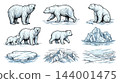 A collection of polar bear illustrations with icebergs and arctic landscape elements. . 144001475