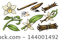 Colored vanilla plant branch and dried bean botanical engraving. 144001492