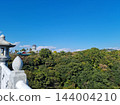 Natural scenery with dense forest 144004210