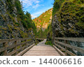 Wooden footbridge crossing a forested gorge beneath sunlit autumn mountain slopes 144006616
