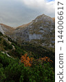 vertical nature landscape photography autumn moody atmospheric forest and mountains 144006617