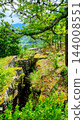 Rocky woodland landscape with dense green trees 144008551