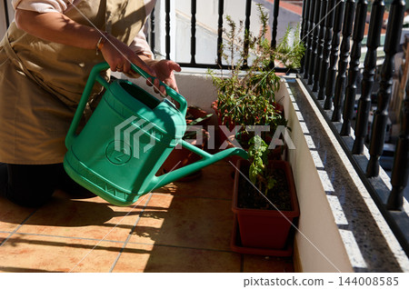 Woman waters potted plants with a green watering can on a sunny tiled apartment balcony, tending a terracotta planter among containers. Her gardening routine supports plant care, urban living, and Woman waters potted plants with a green watering can on a sunny tiled apartment balcony, tending a terracotta planter among containers. Her gardening routine supports plant care, urban living, and 144008585