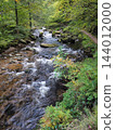 Looking up the East Lyn River at Watersmeet, Exmoor, Devon 144012000