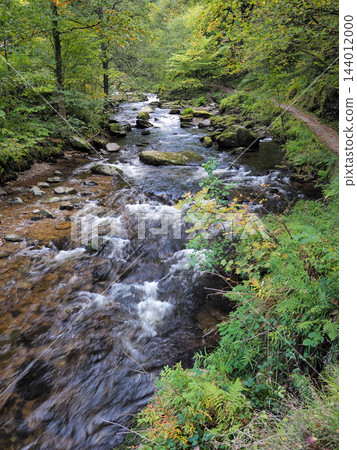 Looking up the East Lyn River at Watersmeet, Exmoor, Devon Looking up the East Lyn River at Watersmeet, Exmoor, Devon 144012000