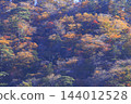 Shiobara的秋葉 144012528
