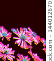 Abstract Pink and Yellow Halftone Flowers Background for Retrofuturism Fashion Design 144012670