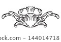 Horizontal hand drawing ornament design element vector illustration 144014718