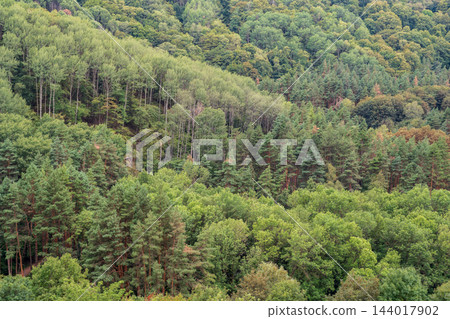 Summer Mountains Landscape with Green forest. Summer Mountains Landscape with Green forest. 144017902