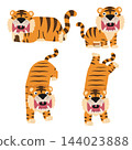 Set of cute cartoon tigers in various poses including roaring and lying down 144023888