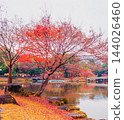 autumn park with trees and lake 144026460