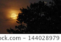 Blood Moonlight Over Firest in Night Sky 144028979