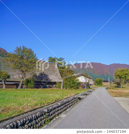 永續發展的當地社區和典型的日本景觀：白川鄉的鄉村和傳統房屋。 144037194