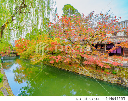 In the autumnal Kurashiki Bikan Historical Quarter, a picturesque white-walled canal scene is captured, with the Kurashiki River near Imabashi Bridge reflecting the vibrant autumn foliage, and a glimpse of the exterior of the Ohara Residence. In the autumnal Kurashiki Bikan Historical Quarter, a picturesque white-walled canal scene is captured, with the Kurashiki River near Imabashi Bridge reflecting the vibrant autumn foliage, and a glimpse of the exterior of the Ohara Residence. 144043565