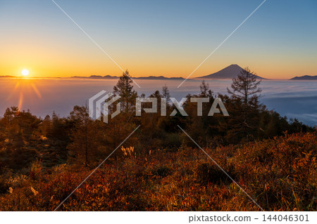 秋天從甘利山眺望日出時的富士山，它彷彿漂浮在雲海之上。 144046301