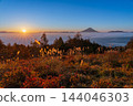 Mount Fuji floating above a sea of clouds at sunrise, as seen from Mount Amari in autumn. 144046303