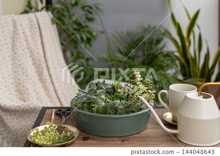 Succulent garden in a green ceramic bowl on a wooden table with scissors, brush, golden tray, coffee cup and watering can on a balcony. Concept of a cozy hobby corner ready for plant care time. Succulent garden in a green ceramic bowl on a wooden table with scissors, brush, golden tray, coffee cup and watering can on a balcony. Concept of a cozy hobby corner ready for plant care time. 144048643